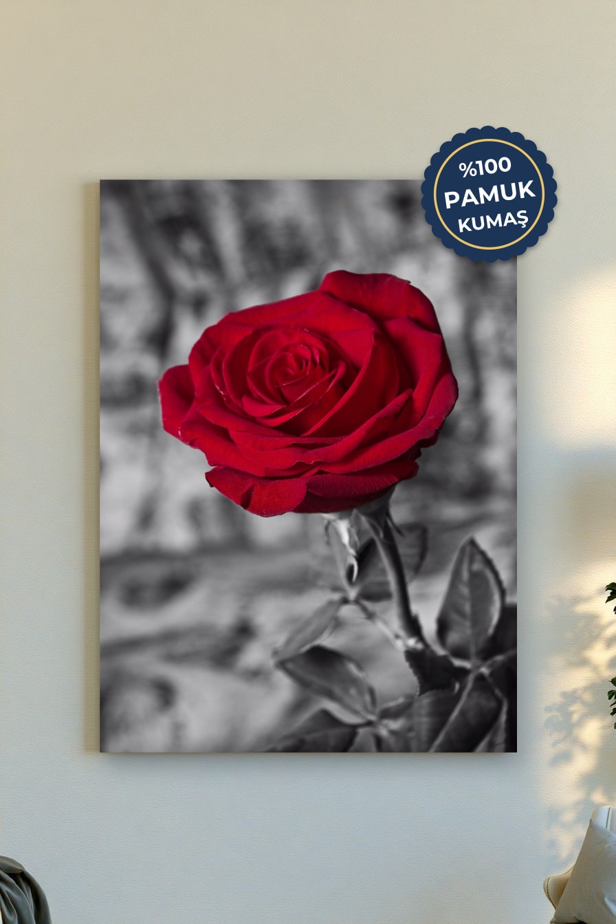 Kırmızı Gül Kanvas Tablo - Soyut ve Minimalist